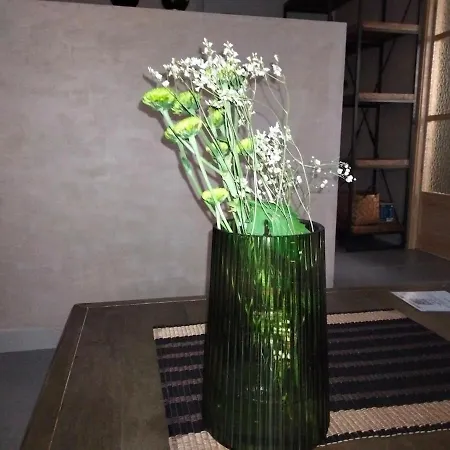 Oliva Loft 아파트
